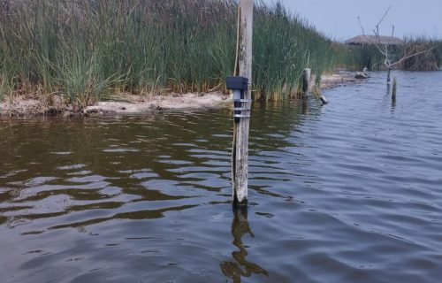 Instalación del Sensor de Nivel N-Level en Pantanos de Villa